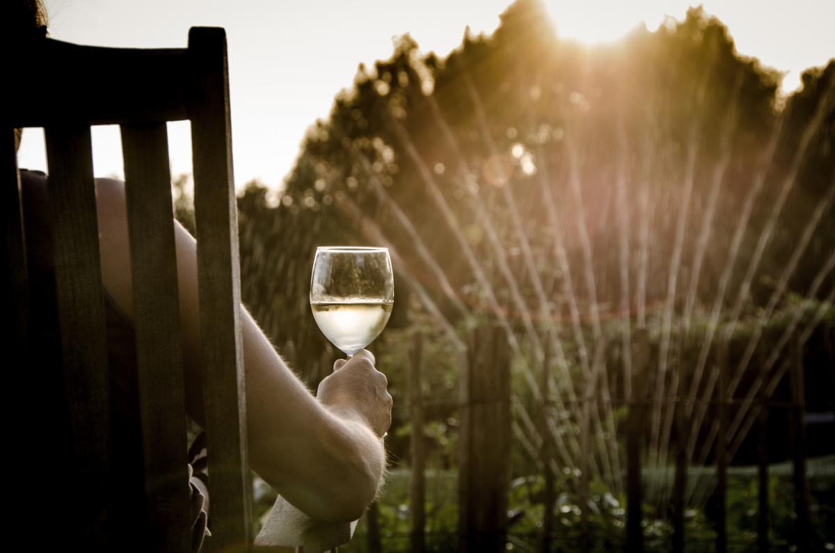 Glas wijn in de tuin